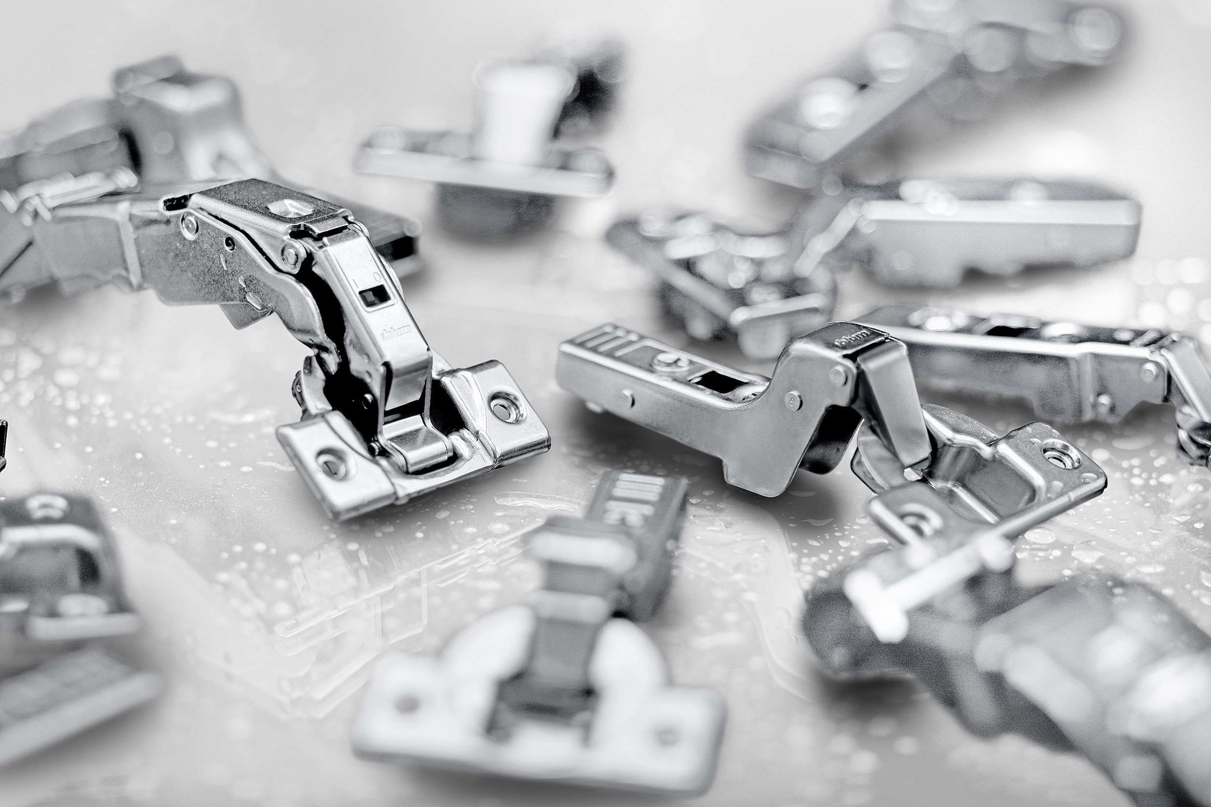 Hinges with BCOR surface protection Blum