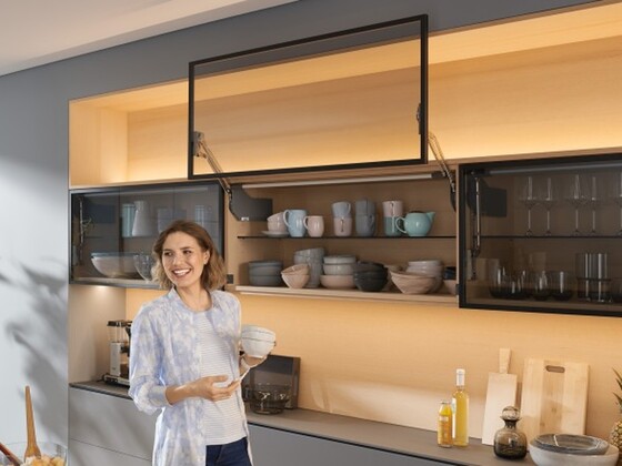 Із АВЕНТОС HL можна використовувати алюмінієві рамки та декоративні панелі