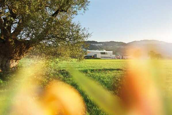 Компанія Blum дбає про довкілля та природні ресурси